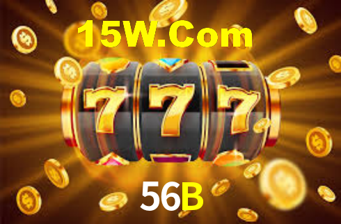 Premium Interface 56B